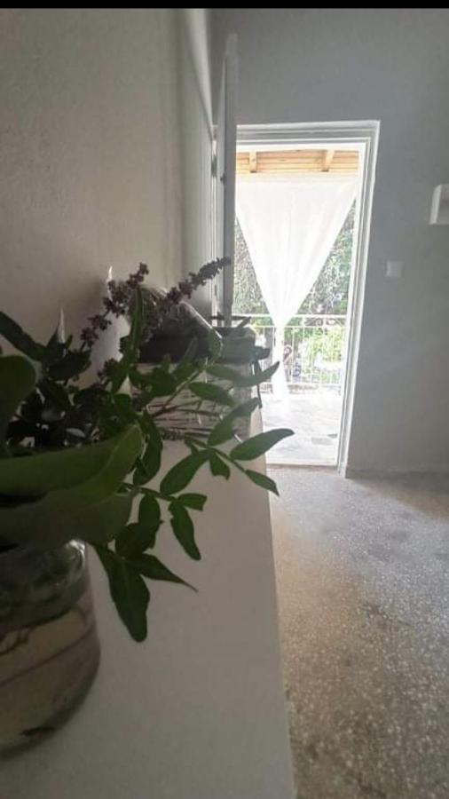 A Pousada Αγρόκτημα Χελωναριά - Agroktima Chelonaria Chrani Exterior foto