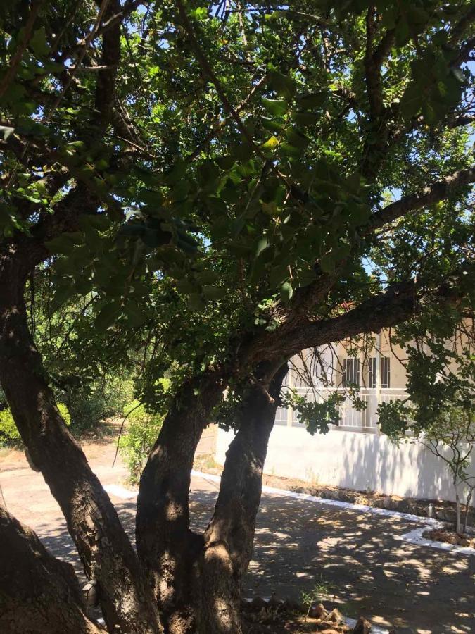 A Pousada Αγρόκτημα Χελωναριά - Agroktima Chelonaria Chrani Exterior foto