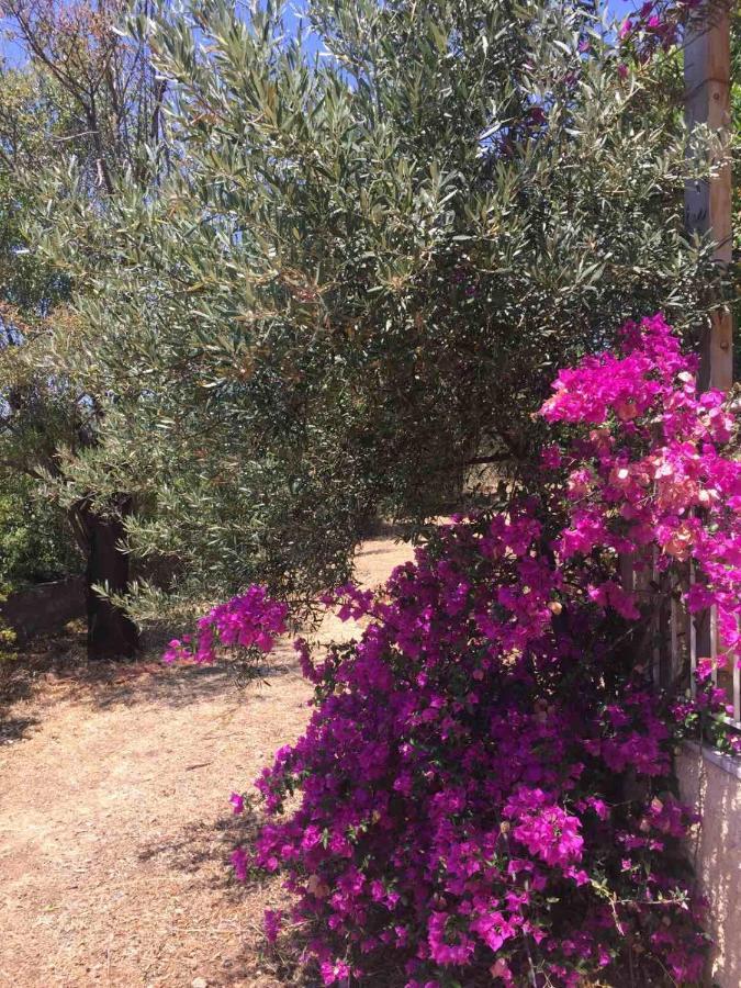 A Pousada Αγρόκτημα Χελωναριά - Agroktima Chelonaria Chrani Exterior foto
